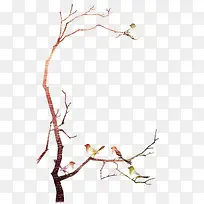 鸟-空若网 鸟-空若网