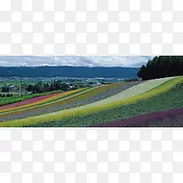 唯美背景摄影风景图-空若网 唯美背景摄影风景图-空若网