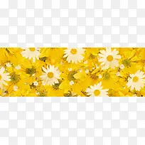 唯美背景摄影风景图-空若网 唯美背景摄影风景图-空若网