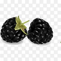 精美水果设计矢量图-空若网 精美水果设计矢量图-空若网