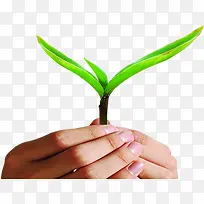 ������Ҷ��ָ��ͼ-������