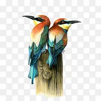 ˮ����������-������