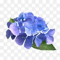 ˮ����ɫ����-������