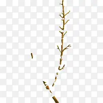 绘画树枝卡片设计-空若网 绘画树枝卡片设计-空若网