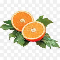 橙色橘子-空若网 橙色橘子-空若网