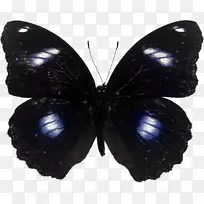 ������������Ӱ����-������