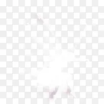 白色蝴蝶-空若网 白色蝴蝶-空若网