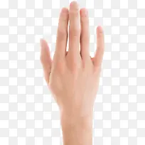 手 手指 手掌-空若网 手 手指 手掌-空若网