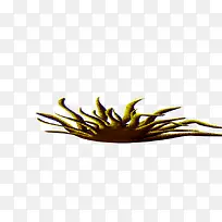 草-空若网 草-空若网