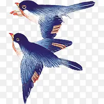 插画海报鸟效果白底图-空若网 插画海报鸟效果白底图-空若网