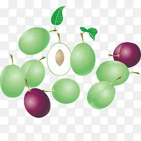 精美水果李子-空若网 精美水果李子-空若网