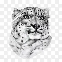 �ֻ汪��ͷ-������