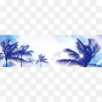 精美棕榈树banner背景-空若网 精美棕榈树banner背景-空若网