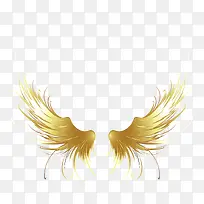 游戏金色翅膀-空若网 游戏金色翅膀-空若网