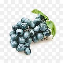 蓝莓-空若网 蓝莓-空若网