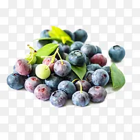 蓝莓-空若网 蓝莓-空若网