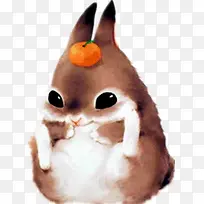 ������ɫС��-������