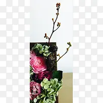 颗粒果实树枝无叶-空若网 颗粒果实树枝无叶-空若网