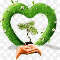 绿色爱心-空若网 绿色爱心-空若网