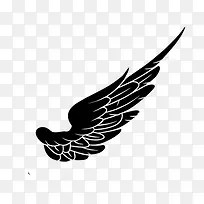 翅膀-空若网 翅膀-空若网