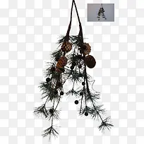 松树枝和松塔-空若网 松树枝和松塔-空若网