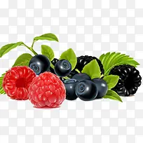 手绘高清各种水果-空若网 手绘高清各种水果-空若网