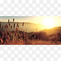 Ϧ����Ӱ����-������