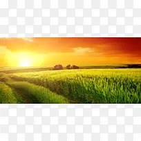 Ϧ����Ӱ����-������