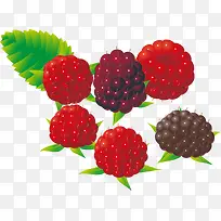 精美水果桑葚-空若网 精美水果桑葚-空若网