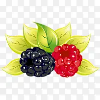 精美水果桑葚-空若网 精美水果桑葚-空若网