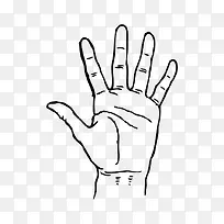 矢量 卡通手绘 手 手掌-空若网 矢量 卡通手绘 手 手掌-空若网