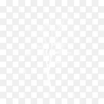 树-空若网 树-空若网