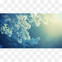 ��ɫ��֦ѩ��羰-������