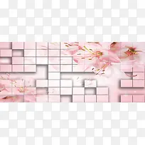 �������屳��-������