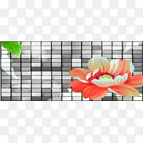 �������屳��ͼ-������