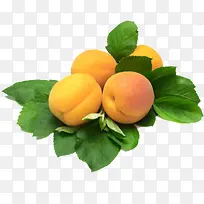 水果-空若网 水果-空若网