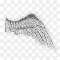 灰色浓密恶魔翅膀-空若网 灰色浓密恶魔翅膀-空若网