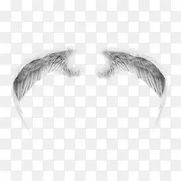 灰色羽毛翅膀-空若网 灰色羽毛翅膀-空若网