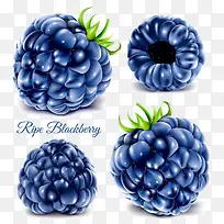 水果-空若网 水果-空若网