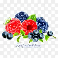 水果-空若网 水果-空若网