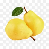 雪梨水果植物素材-空若网 雪梨水果植物素材-空若网