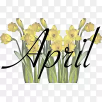 切花花卉设计花卉花束-番红花-空若网 切花花卉设计花卉花束-番红花-空若网