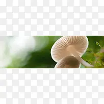 浪漫背景-空若网 浪漫背景-空若网