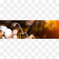 浪漫背景-空若网 浪漫背景-空若网