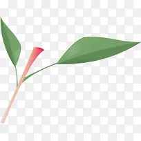 ÂÌҶʱÉб³¾°º£±¨-¿ÕÈôÍø ÂÌҶʱÉб³¾°º£±¨-¿ÕÈôÍø