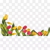 �����������-������-������