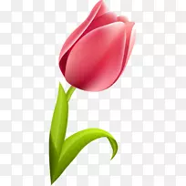 �����㿪��ֲ��ٺϿ�������-������