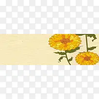 ����ʱ�б���-������