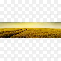 ����ʱ�б���-������