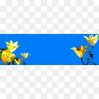 创意时尚背景-空若网 创意时尚背景-空若网